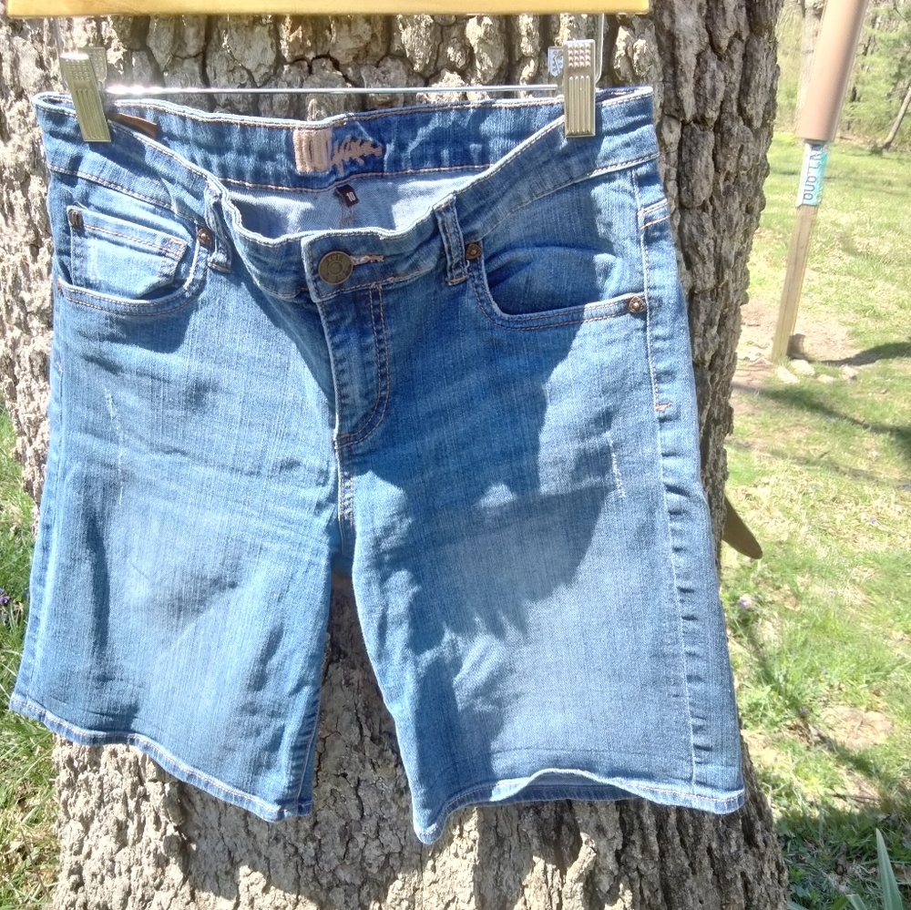 Kut from the Kloth Blue Denim Jean Shorts